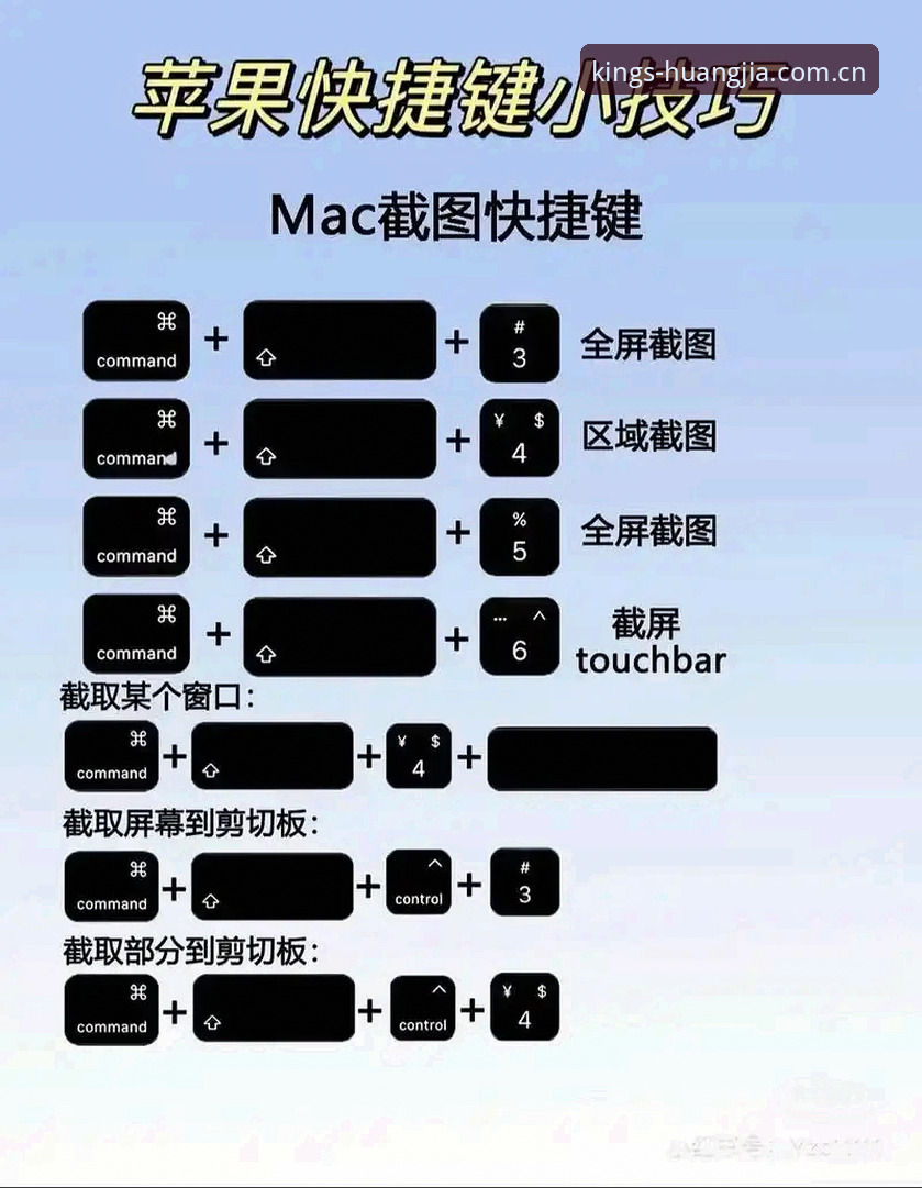 皇家国际官网安全娱乐入口使用教程：从下载到畅玩的完整操作指南